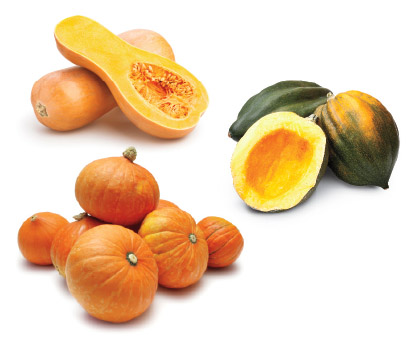 Winter Squash 101